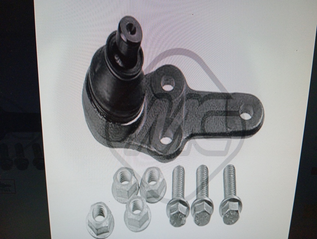 ROTULA SUSPENSION